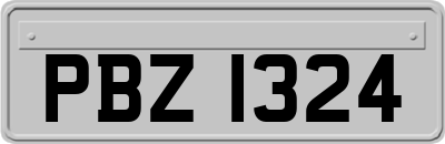 PBZ1324