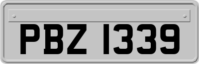 PBZ1339