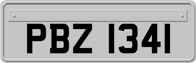 PBZ1341