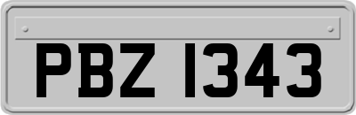 PBZ1343