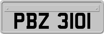 PBZ3101