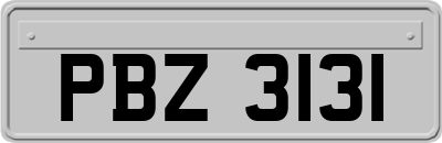 PBZ3131