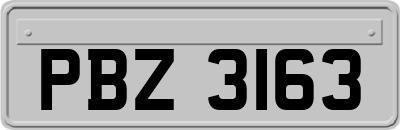 PBZ3163