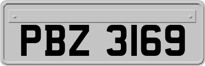 PBZ3169