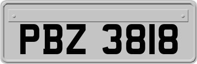 PBZ3818