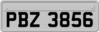 PBZ3856