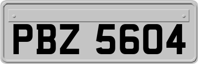 PBZ5604