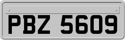 PBZ5609