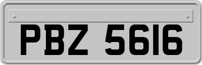 PBZ5616