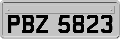 PBZ5823