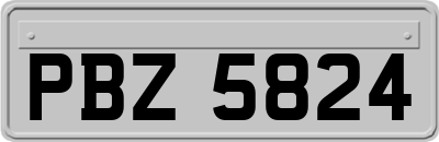 PBZ5824