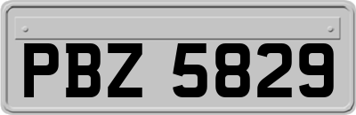 PBZ5829