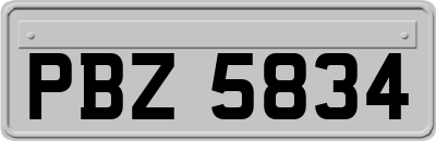 PBZ5834