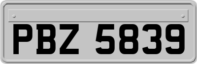 PBZ5839