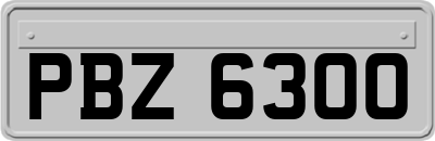 PBZ6300