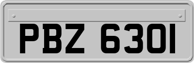 PBZ6301