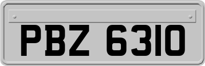 PBZ6310