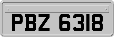 PBZ6318