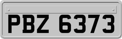 PBZ6373