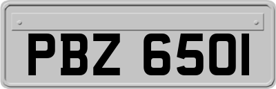 PBZ6501