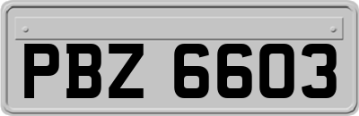 PBZ6603