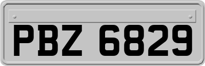 PBZ6829