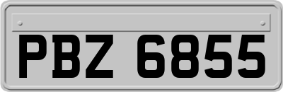 PBZ6855