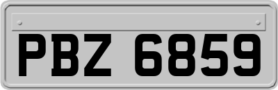 PBZ6859