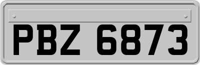 PBZ6873