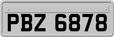 PBZ6878