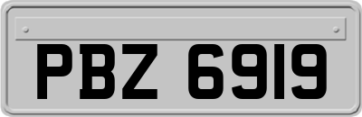 PBZ6919