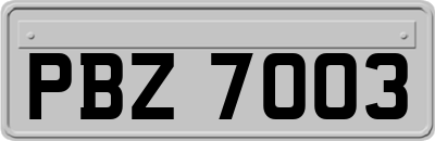 PBZ7003