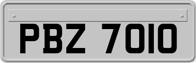 PBZ7010