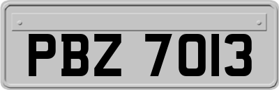 PBZ7013