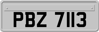 PBZ7113