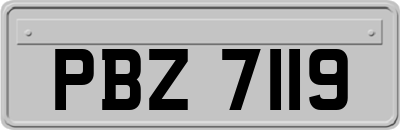 PBZ7119