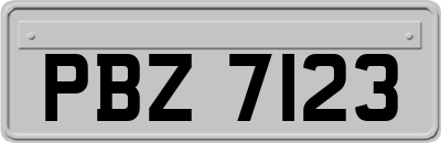 PBZ7123