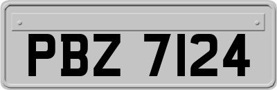 PBZ7124