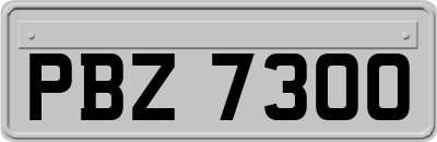 PBZ7300