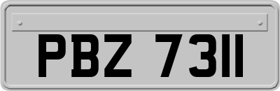 PBZ7311