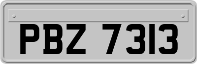 PBZ7313