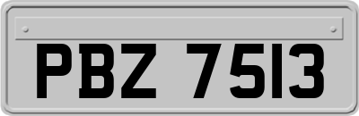 PBZ7513