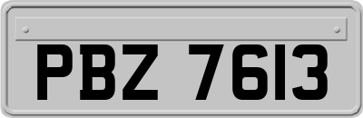 PBZ7613