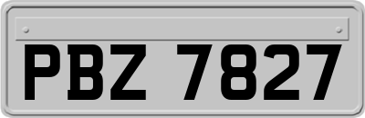 PBZ7827