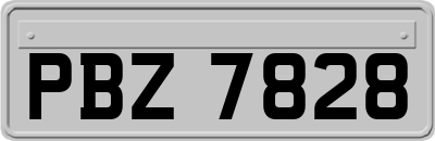 PBZ7828