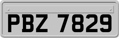 PBZ7829