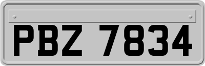 PBZ7834