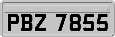 PBZ7855