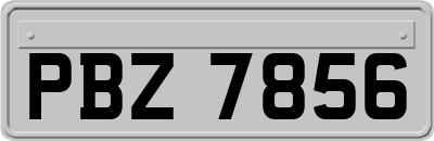 PBZ7856