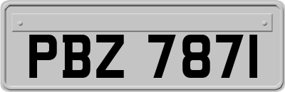 PBZ7871